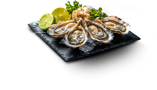 Rock Oyster
