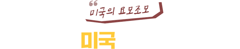 미국의 요모조모 매력 가득 미국의 도시 속으로!