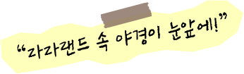 라라랜드 속 야경이 눈앞에!