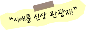 시애틀 신상 관광지!
