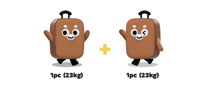 1pc(23kg) + 1pc(23kg)
