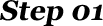 Step 01