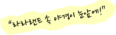 라라랜드 속 야경이 눈앞에!