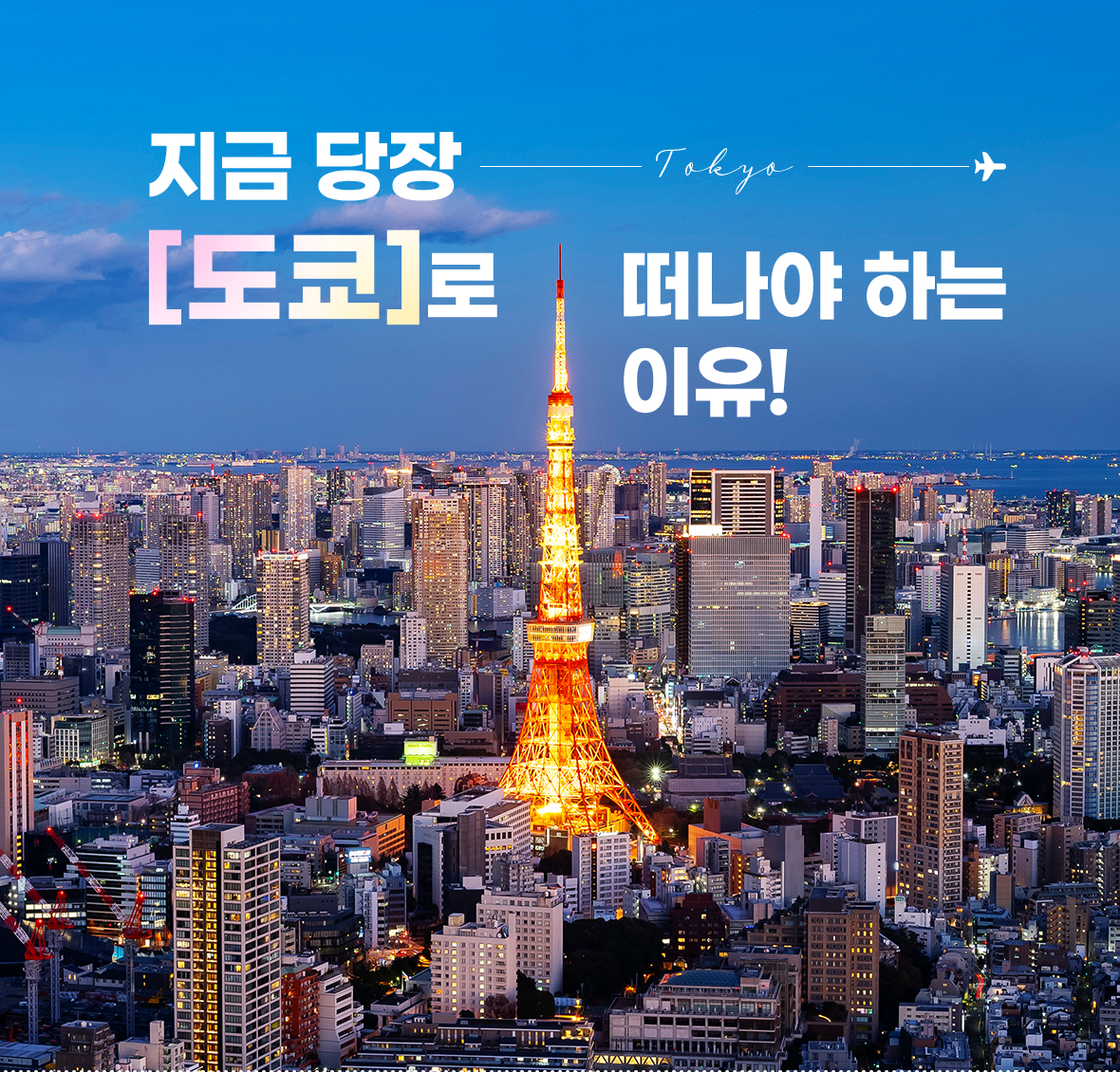 지금 당장 도쿄로 떠나야 하는 이유!