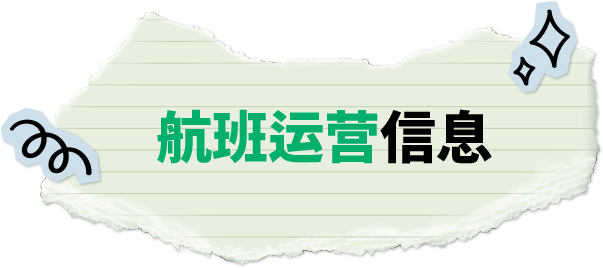 航班运营信息