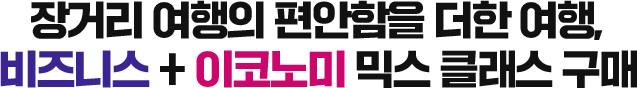 장거리 여행의 편안함을 더한 여행, 비즈니스 + 이코노미 믹스 클래스 구매