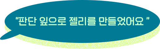 판단 잎으로 젤리를 만들었어요