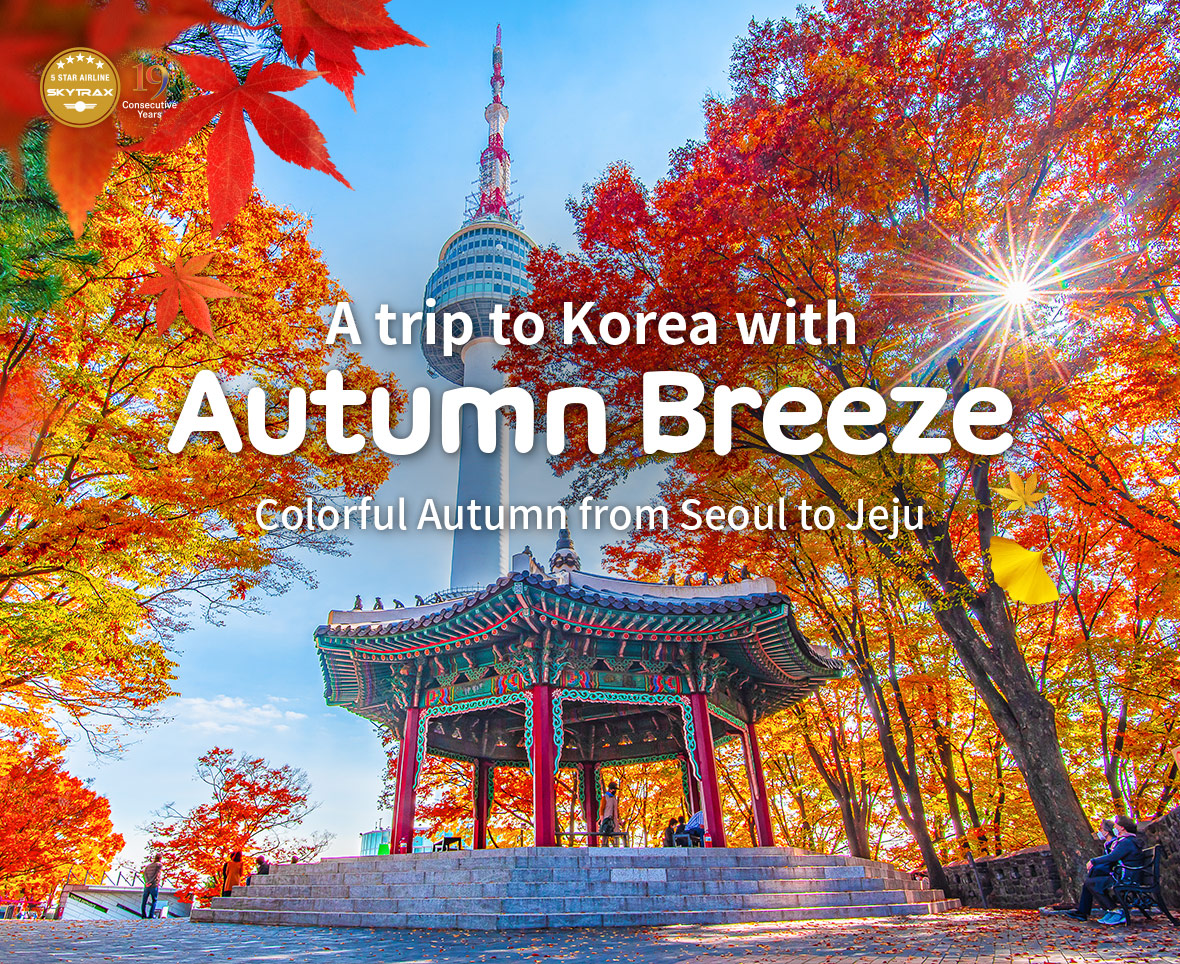 A trip to korea with Autumn Breeze Colorful Autumn from Seoul to Jeju