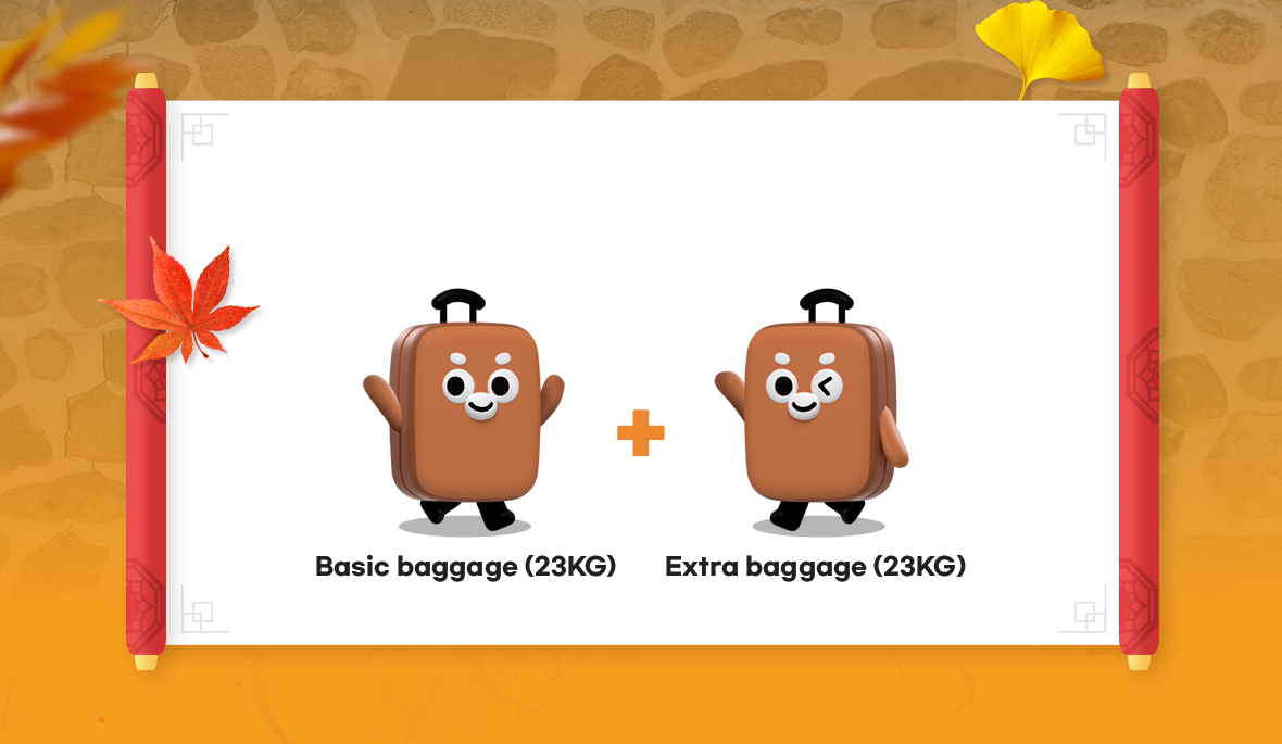 Basic baggage (23KG) + Extra baggage (23KG)